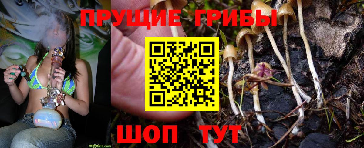 Коломна  Псилоцибиновые грибы Psilocybine cubensis  Вход с VPN 